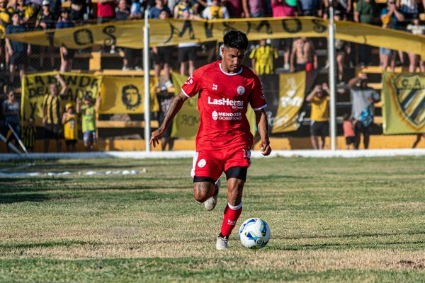 Scopri il Mondo Meraviglioso degli Animali Domestici